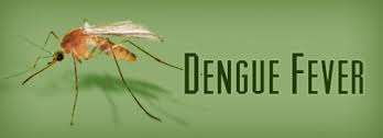 Dengue Fever-causes