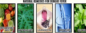 home-remedies-dengue